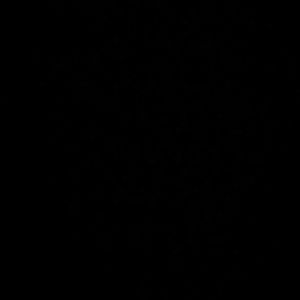 Meet your Posher, Rosa